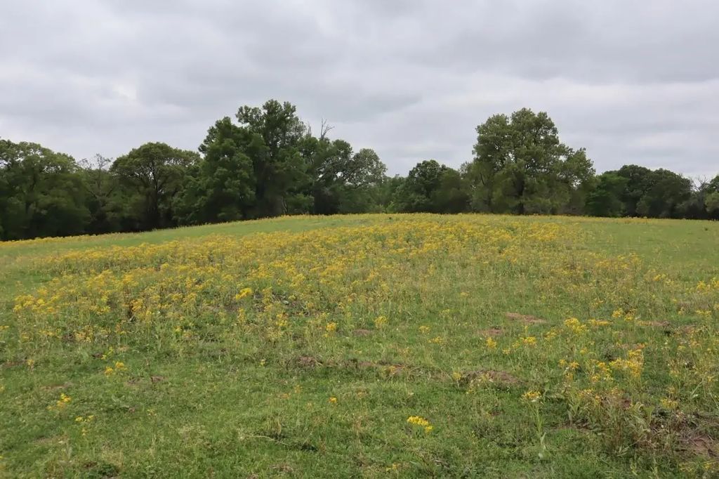 Tbd Rs County Road 2365, Alba
