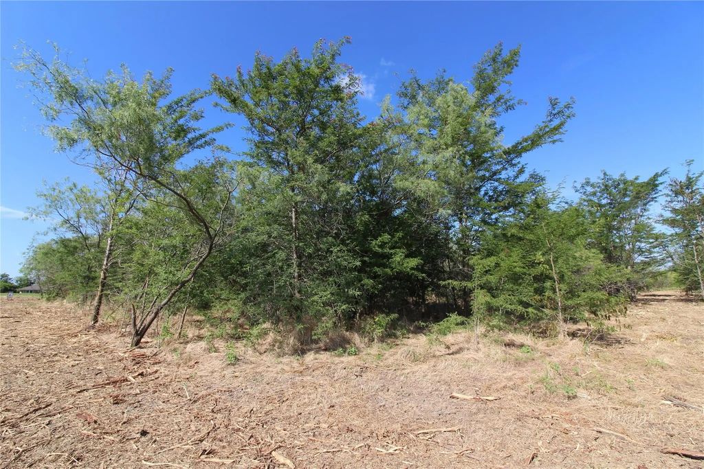 Tbd Lot 2 County Road 146, Kaufman