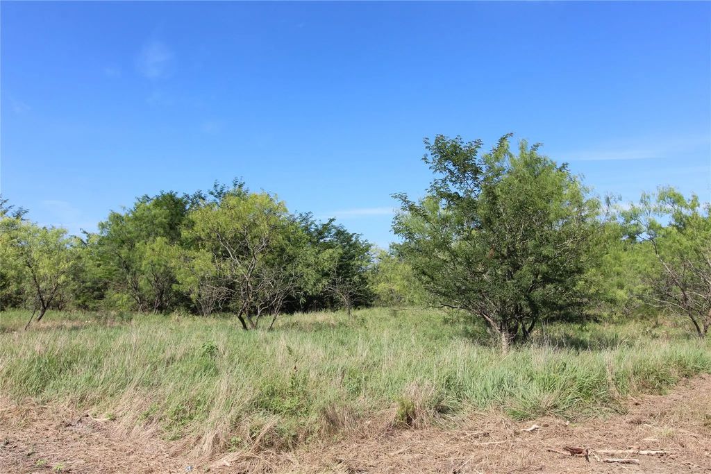 Tbd Lot 3 County Road 146, Kaufman