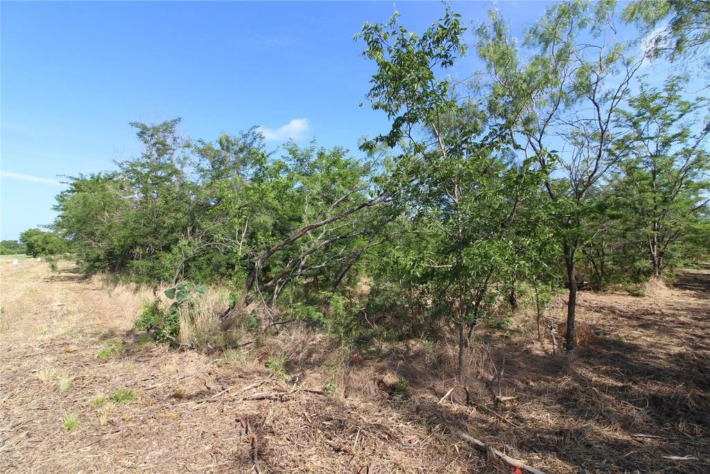 Tbd Lot 6 Fm 2860, Kaufman