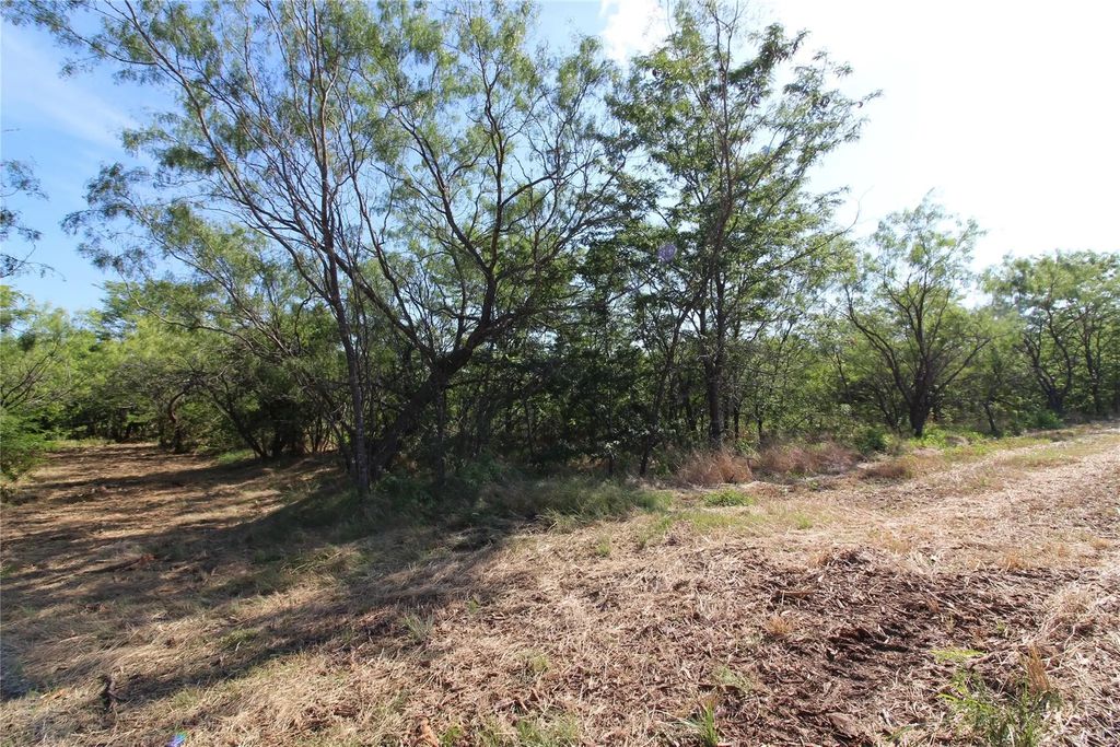 Tbd Lot 7 Fm 2860, Kaufman