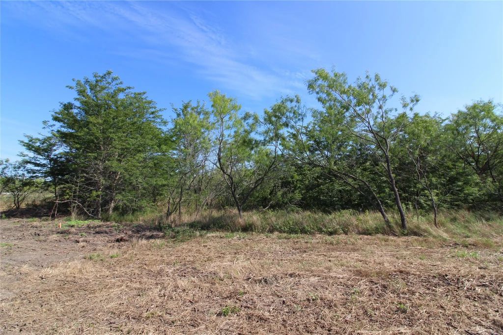 Tbd Lot 8 Fm 2860, Kaufman