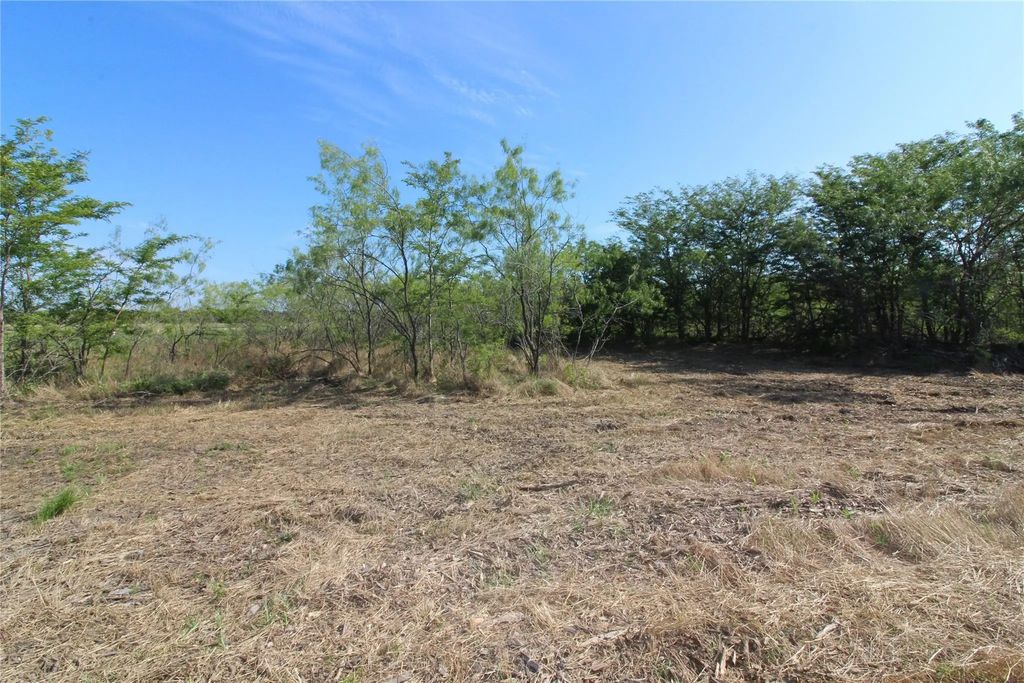 Tbd Lot 9 Fm 2860, Kaufman