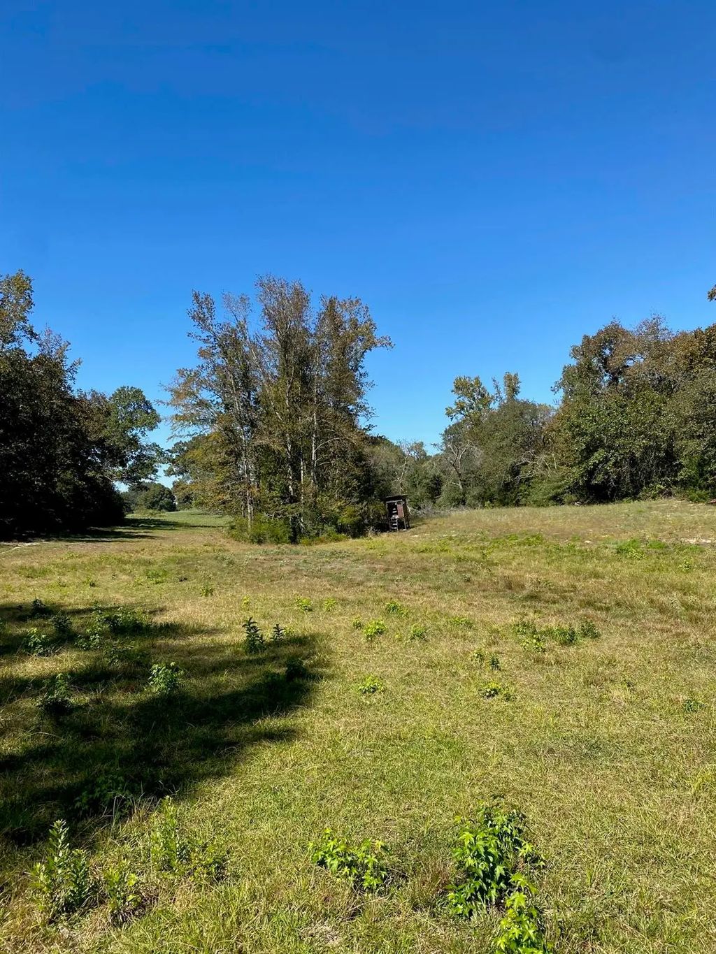 Tbd 002 County Road 242, Oakwood