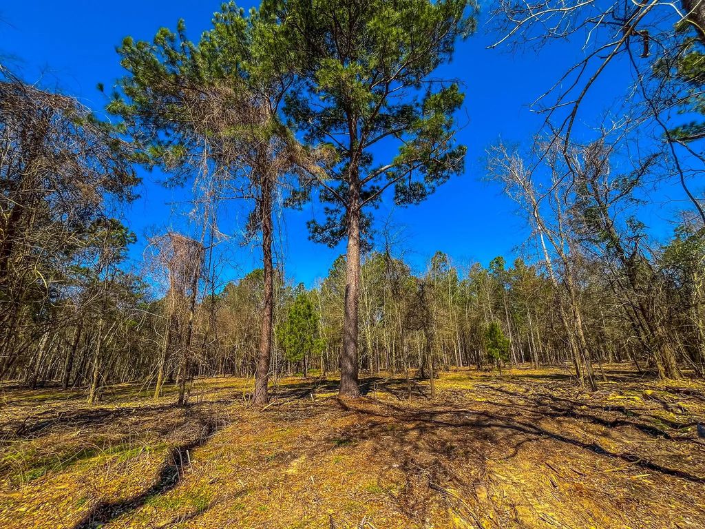 Tract 4 County Road 1713, Jacksonville