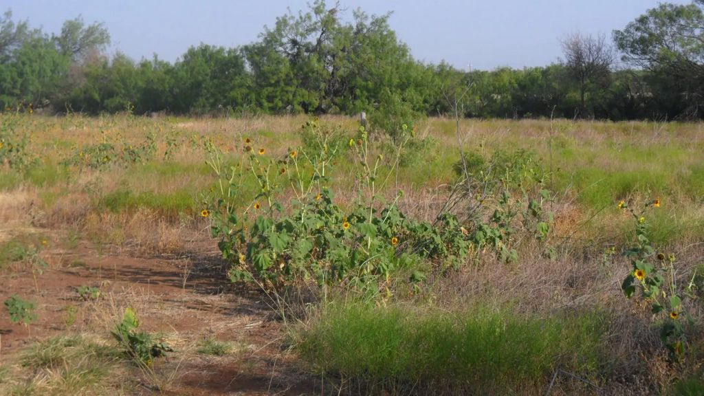 Tbd Fm1750 Fm 1750, Abilene