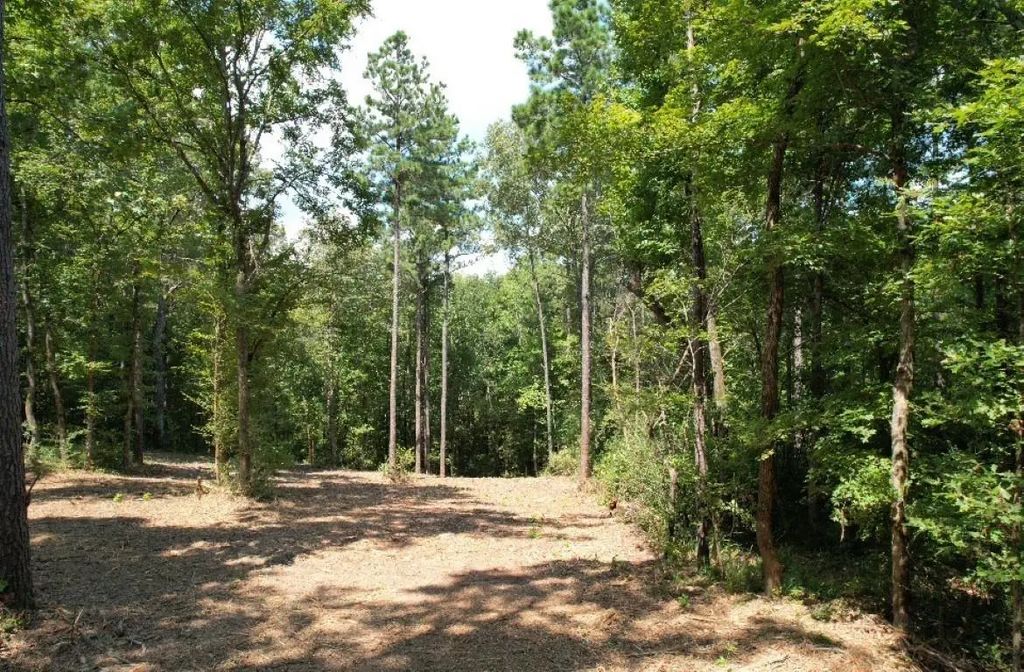 Tbd County Road 3704, Joaquin