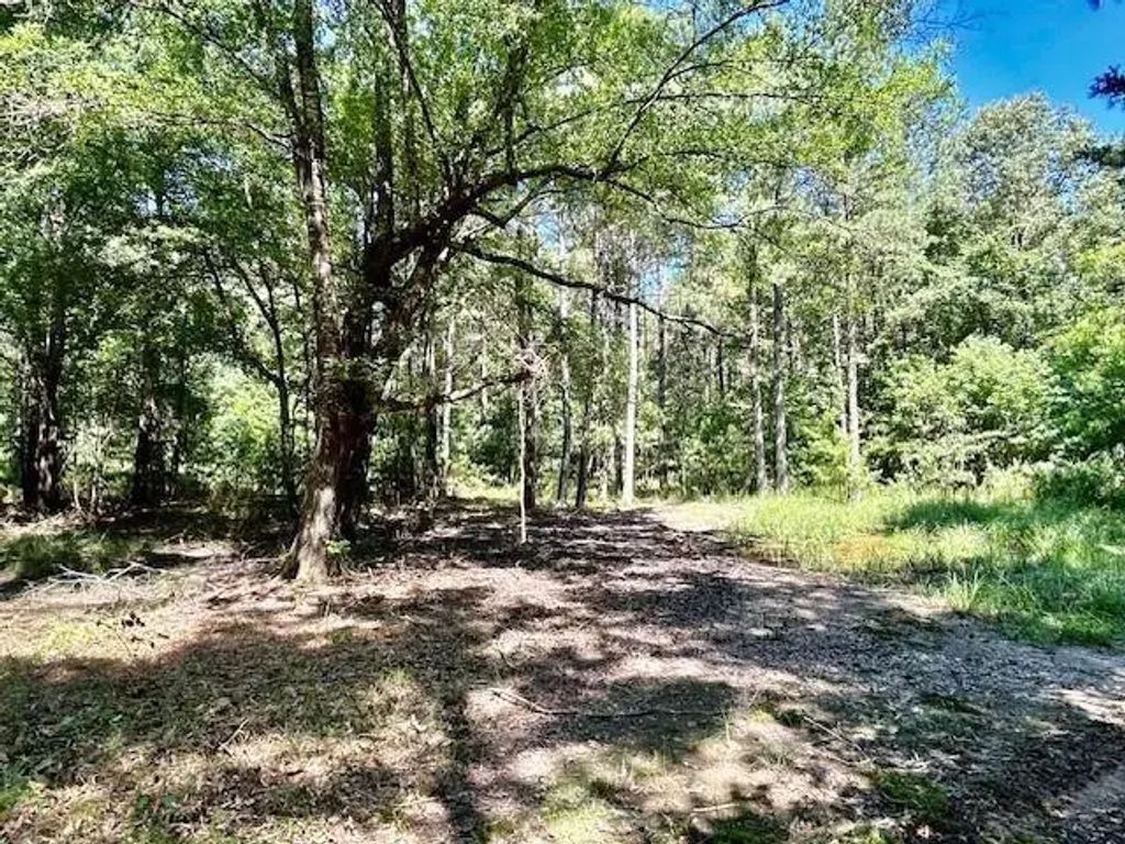 75 Acres Highway 37, Clarksville