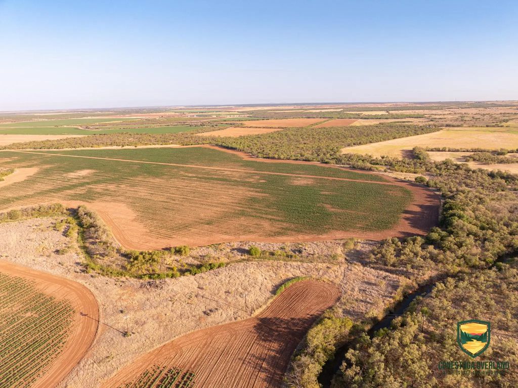 Tbd County Road 158, Sylvester