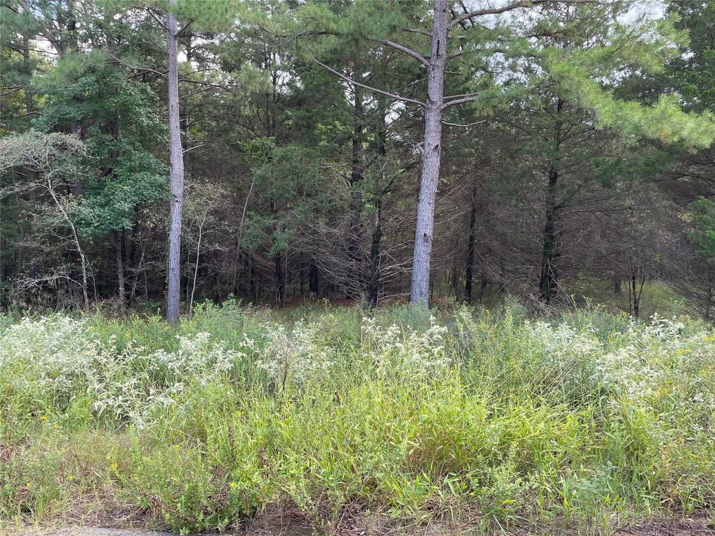 Lot 26 Tbd Cedarpark Place, Lindale