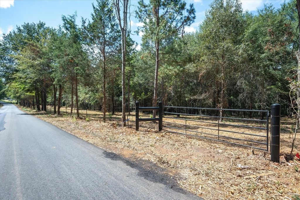 Tract 1 County Road 484, Mineola