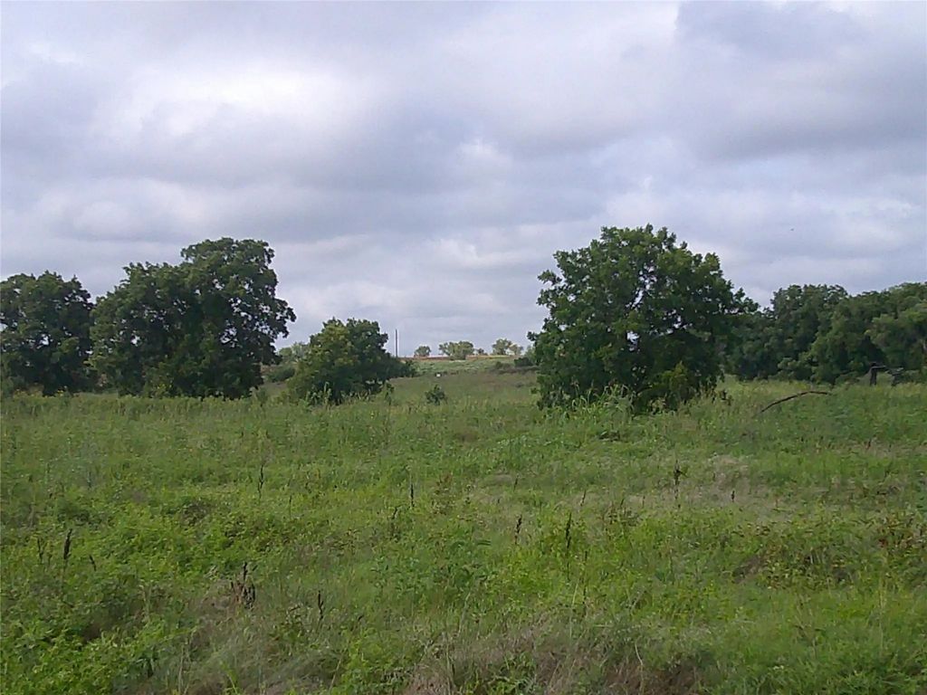 Tr 5 West Rc, Bowie
