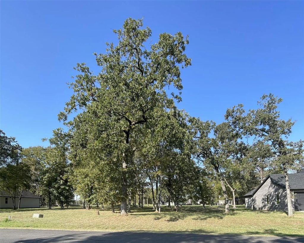 245 Saint Andrews Drive, Mabank