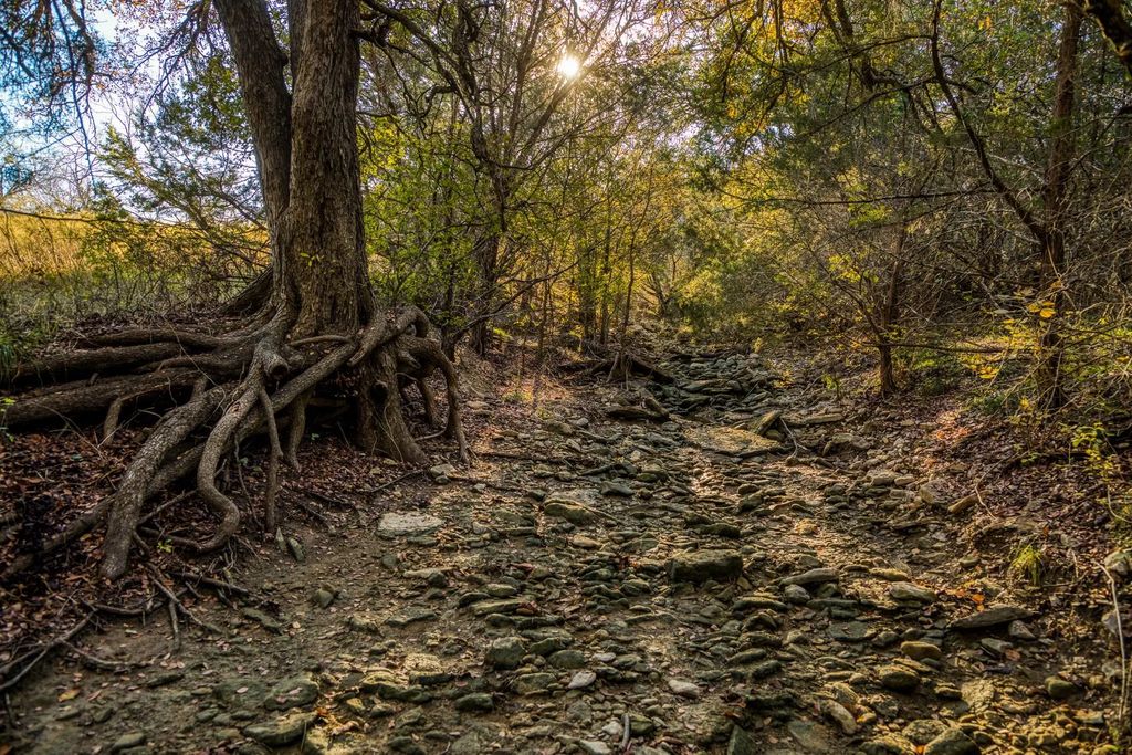 Tbd Shady Oaks, Palo Pinto