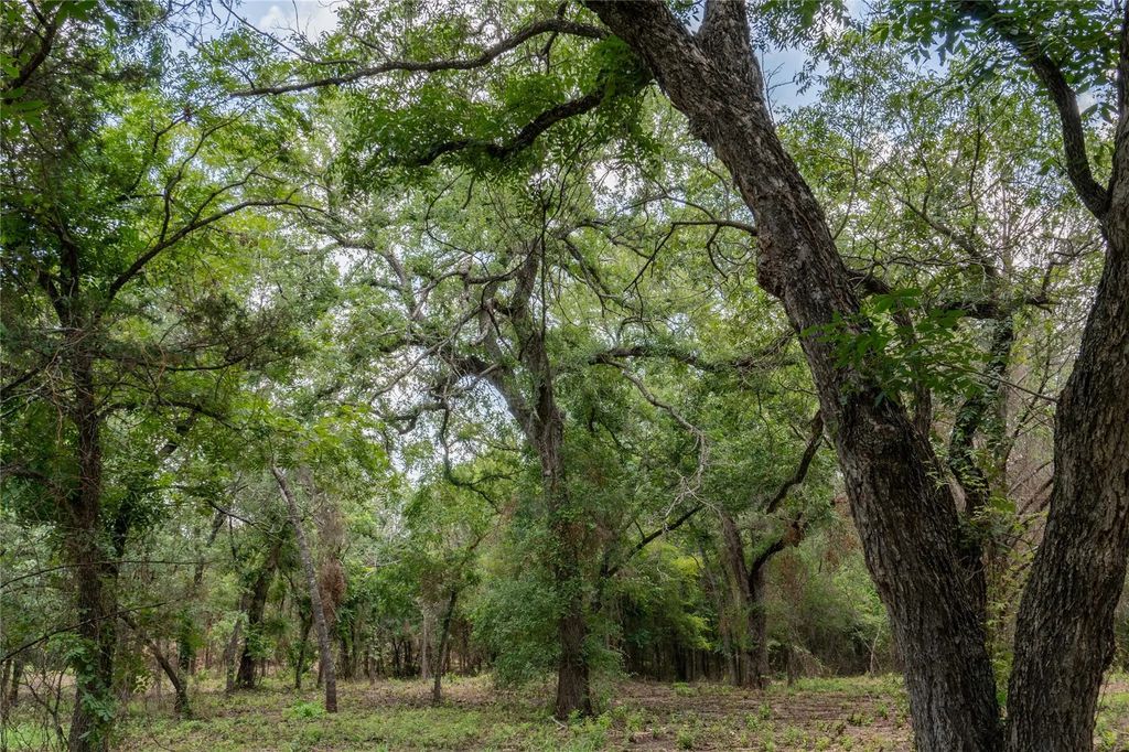 T13 Shiloh Vista Lane, Tolar