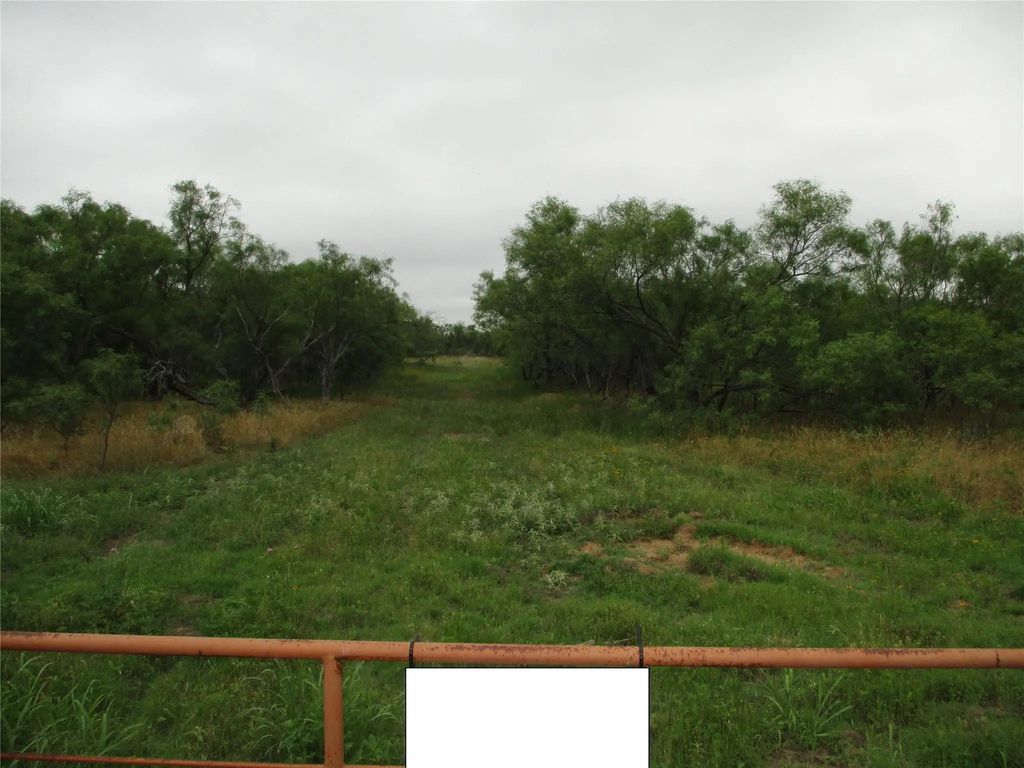 Lot 6 Old Joy Shannon, Bluegrove
