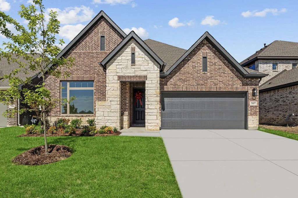 3007 Stonefly Way, Royse City