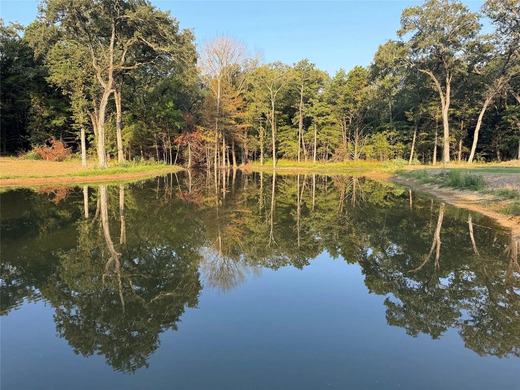 Cr 1138, Lone Oak