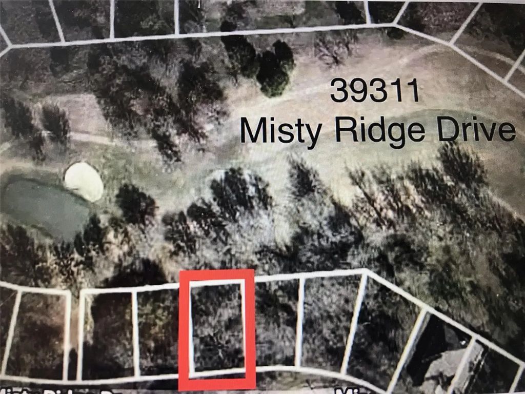 39311 Misty Ridge Drive, Whitney
