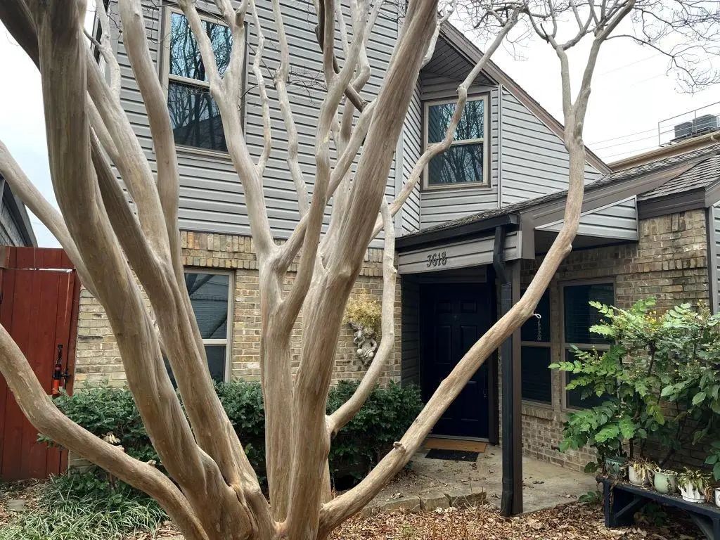 3618 Word Street, Dallas
