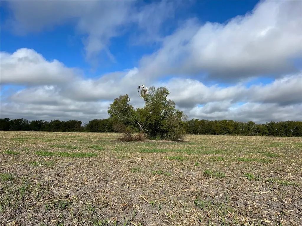 Tbd Cr 117 Road, Rogers