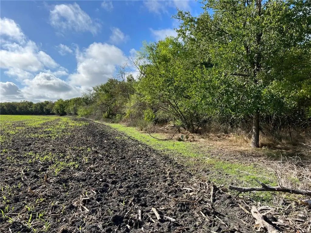 Tbd Cr 117 Road, Rogers