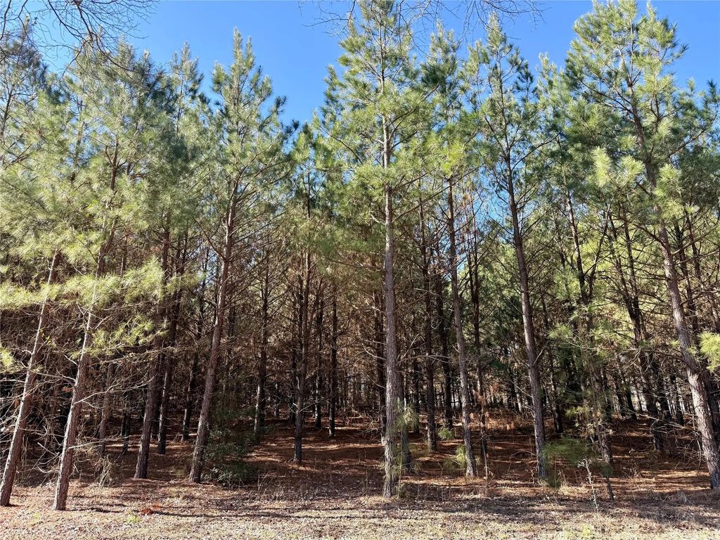 Tbd-8 Hwy 271, Gladewater