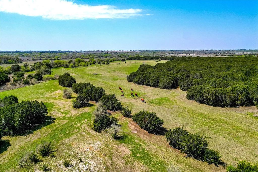 111+/- Ac. 13755 N Lone Star Parkway, Valley Mills