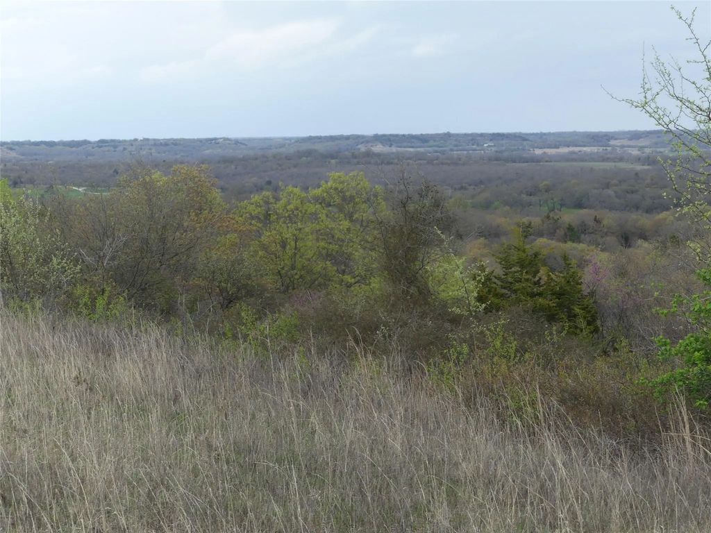 Tbd Dye Mound Road, Forestburg