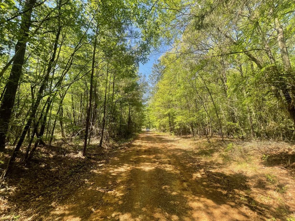 889 Fuller Cemetery Road, Minden