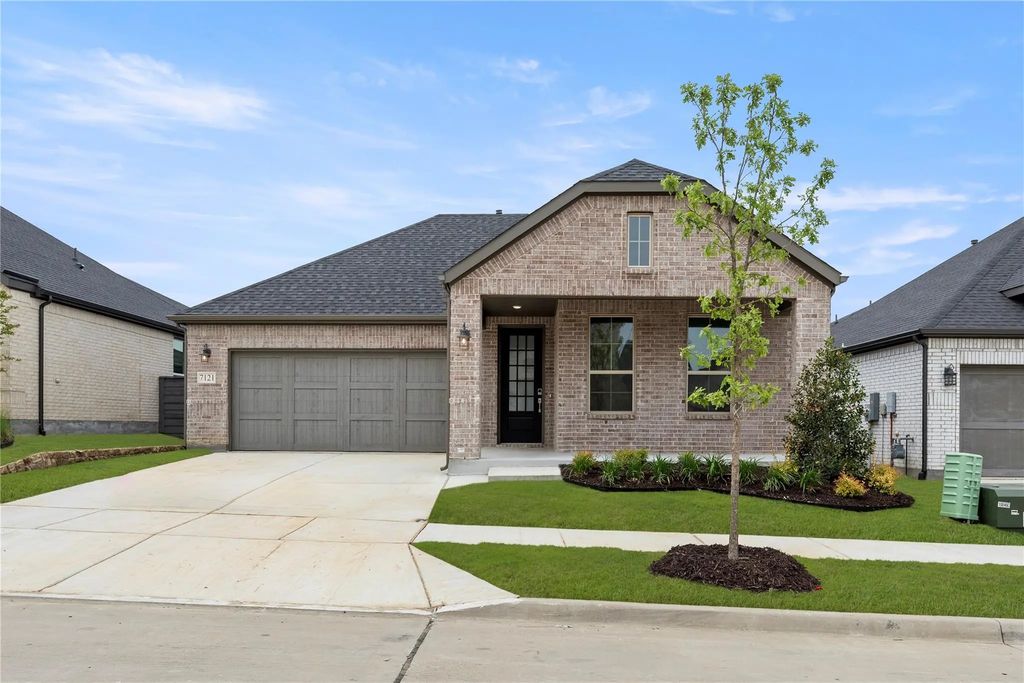 7121 Dragonfly, Little Elm