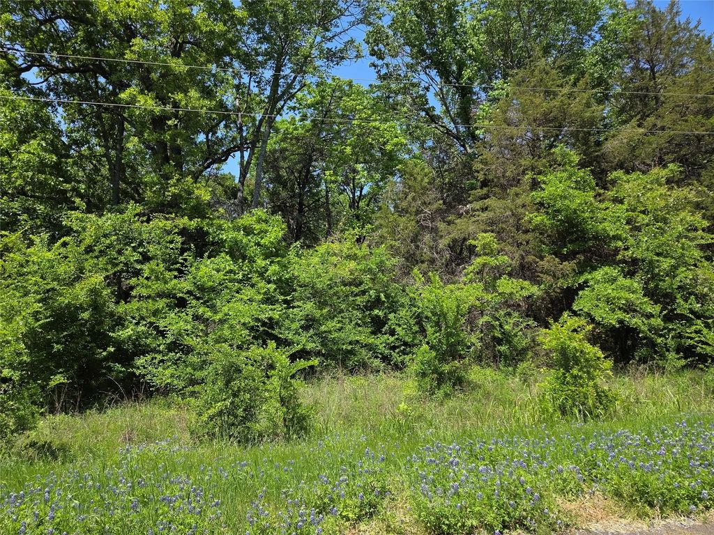 Lot 10 Se Cr 3258, Kerens