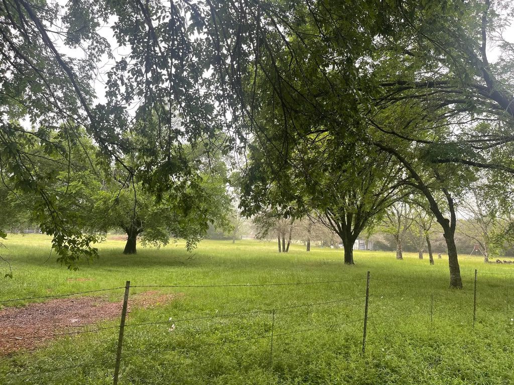 Tbd Pecan Street, China Spring