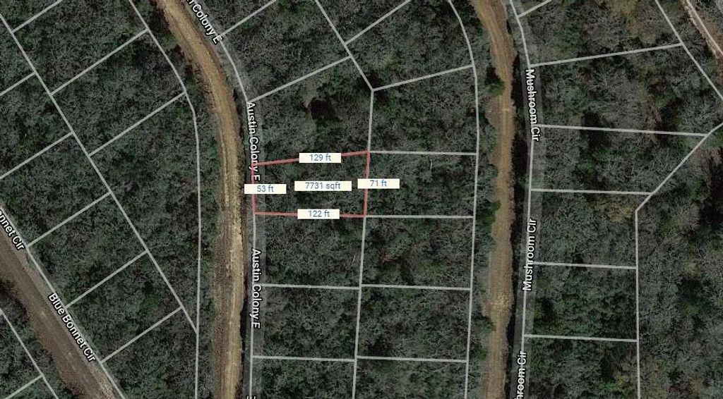 Lot 29 E Austin Colony, Normangee