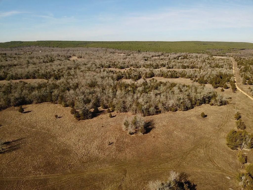 Lake Ozzie Cobb 102-b, Antlers