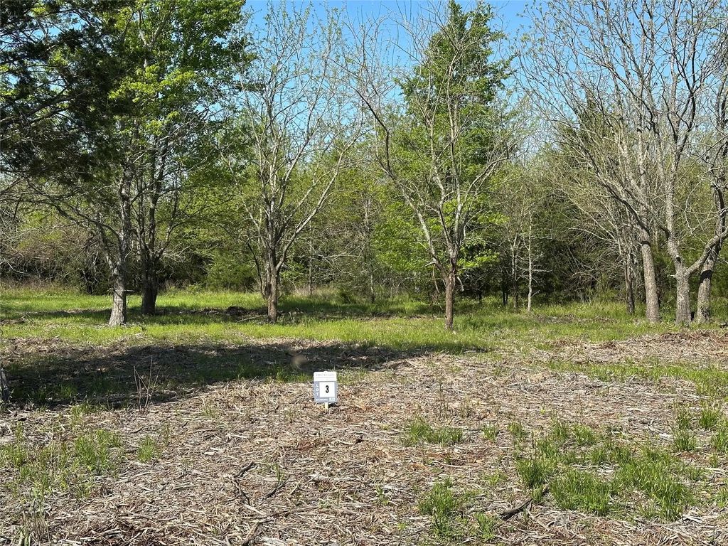 Tract 3 Farm To Market 1743, Honey Grove