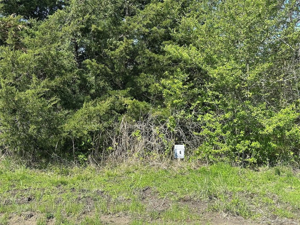 Tract 6 Farm To Market 1743, Honey Grove