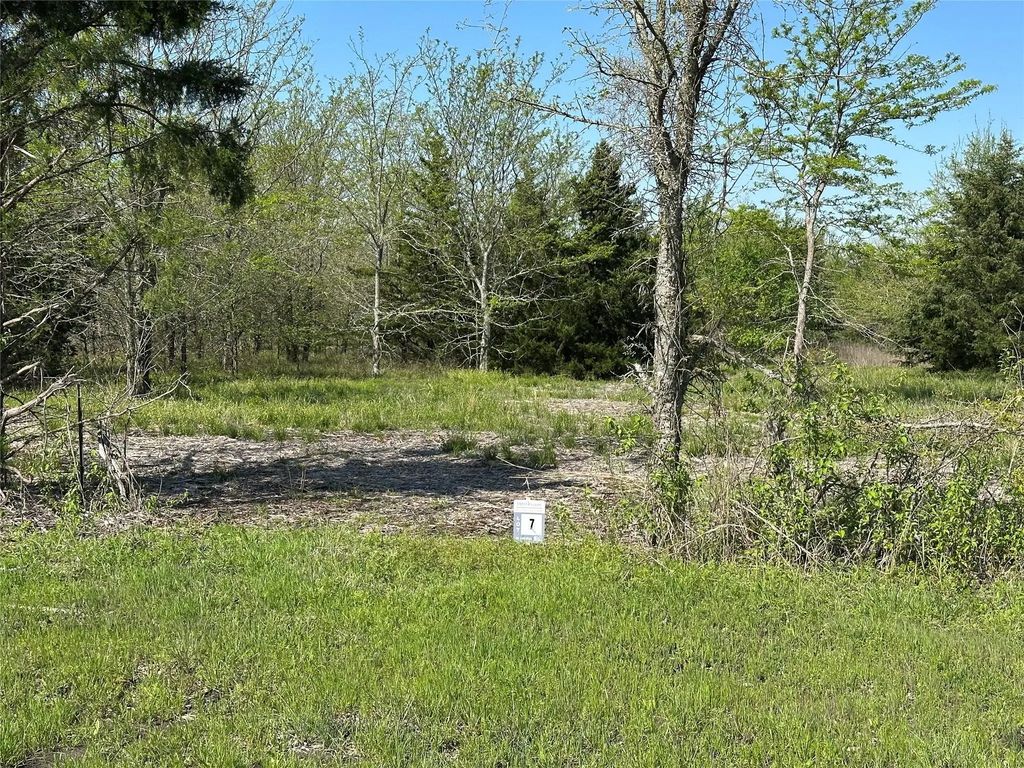 Tract 7 Farm To Market 1743, Honey Grove