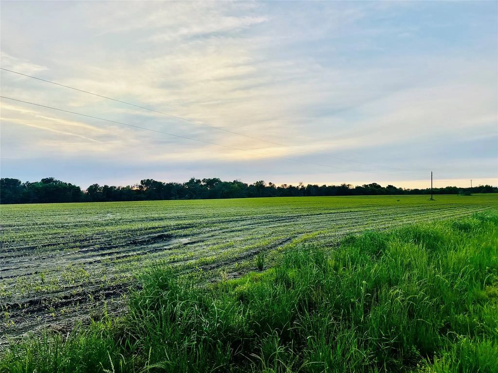 Cr 3520, Honey Grove