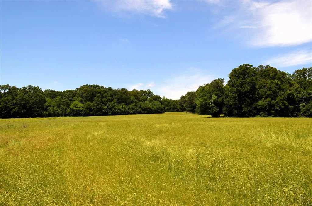 County Road 2854 Road, Eustace