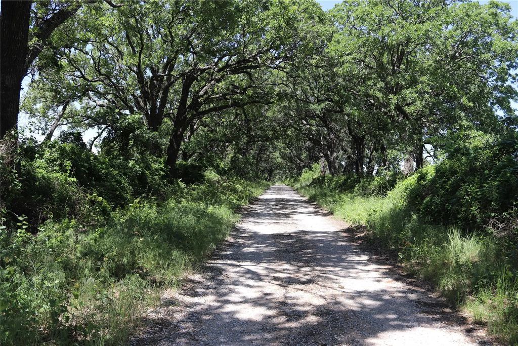 120 Acres Deer Creek Rd, Henrietta