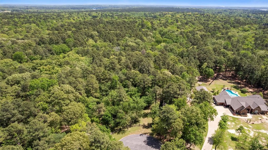 15042 Canopy Oaks Drive, Tyler