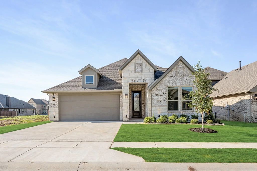 1036 Snowy Owl Drive, Alvarado