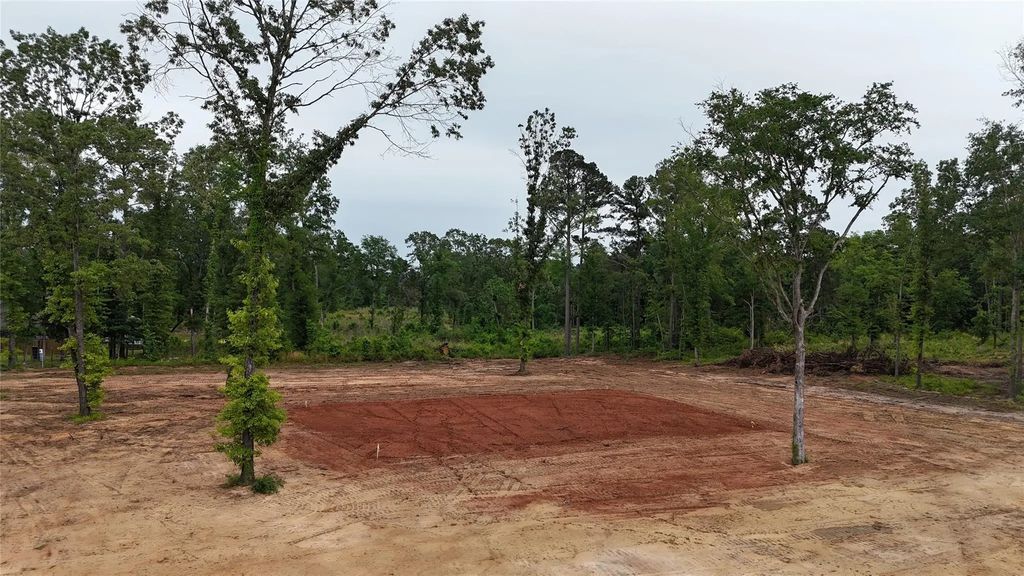 Tbd Private Road 1111, Diana