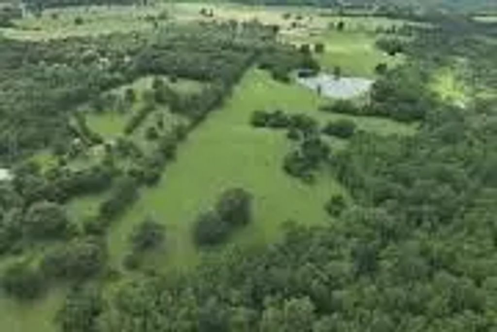 529 An County Road 2304, Tennessee Colony