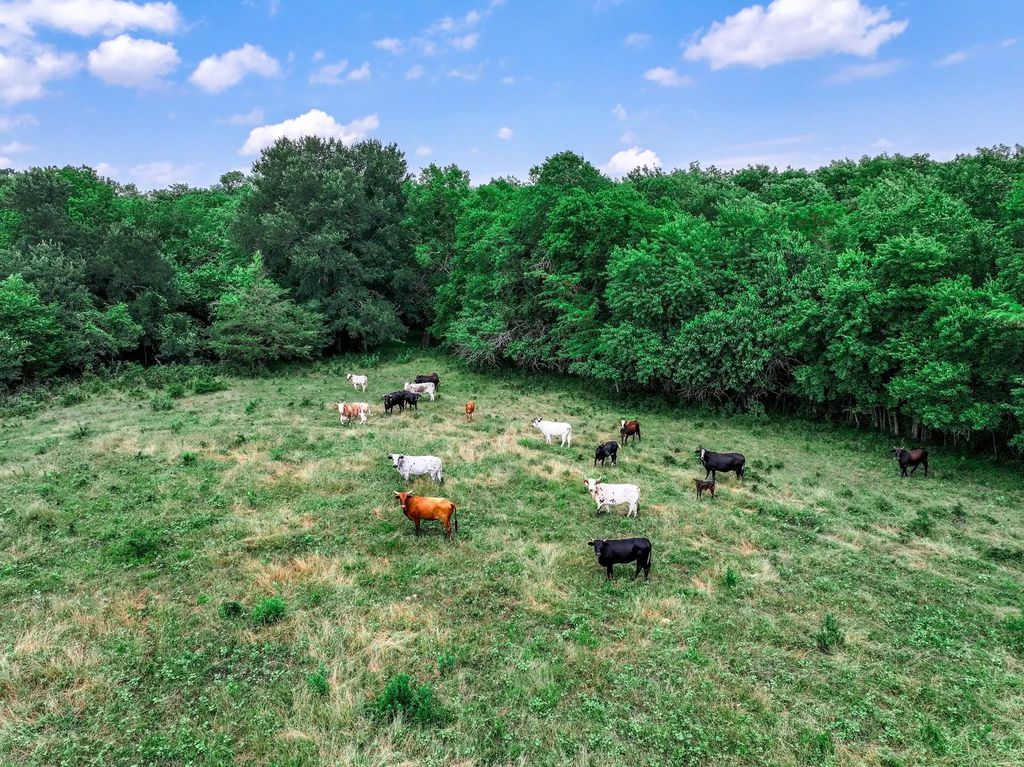 66.682 Acres County Road 2190, Commerce