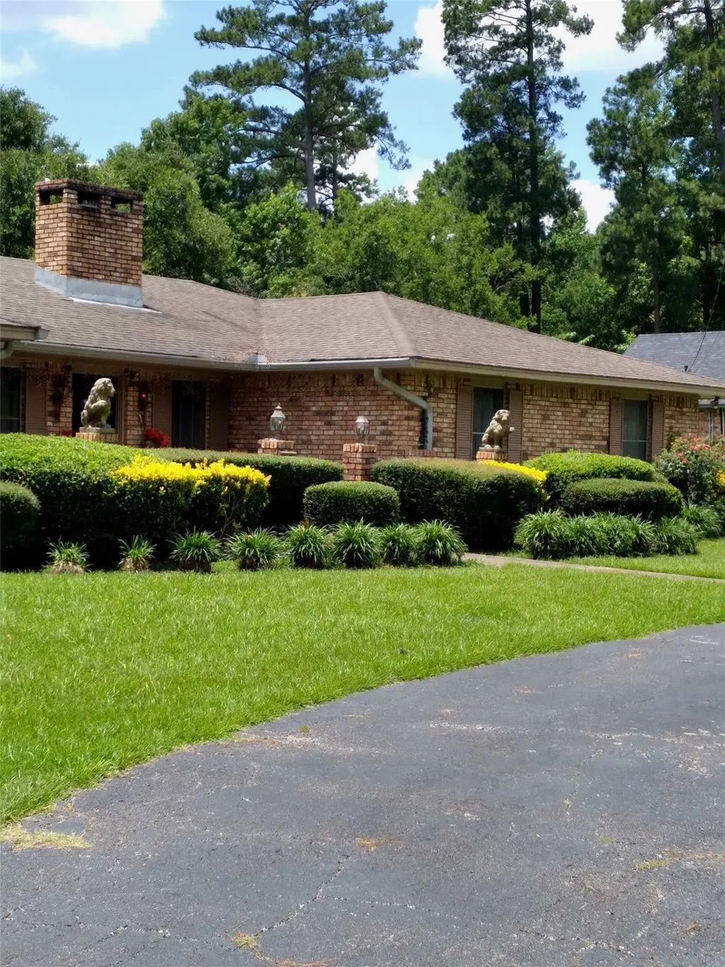 386 County Road 1130, Center