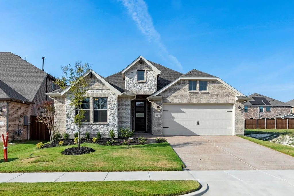 3513 Honeysuckle Street, Melissa
