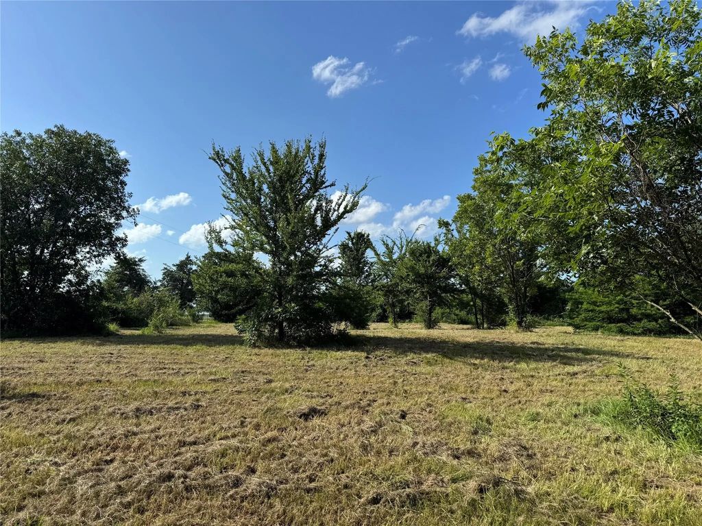 Tbd County Road 3053, Mount Pleasant