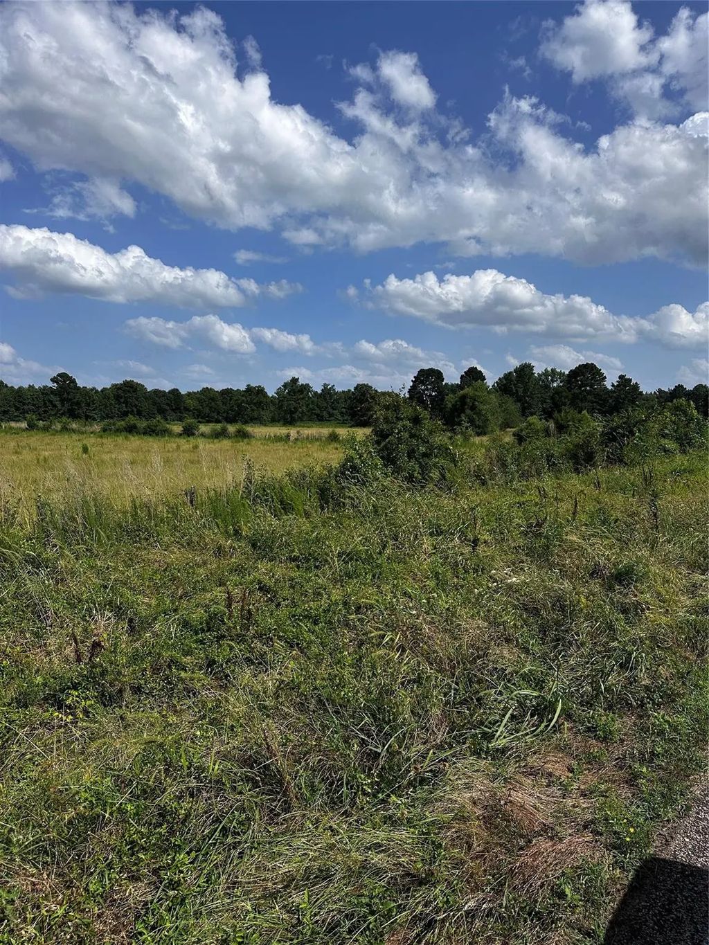001 Fm-144, Daingerfield